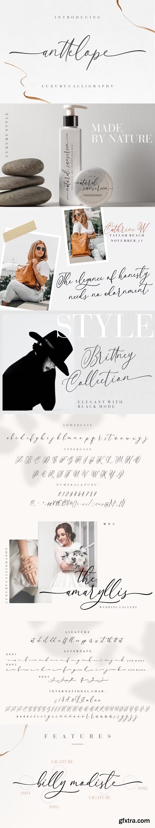 Anttelope - Romantic Calligraphy Font