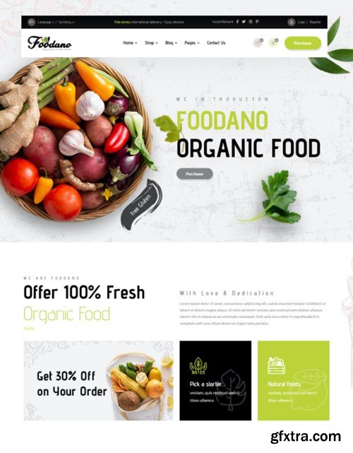 Foodano - Organic Food Shop Grocery HTML Template 7ZVLG76