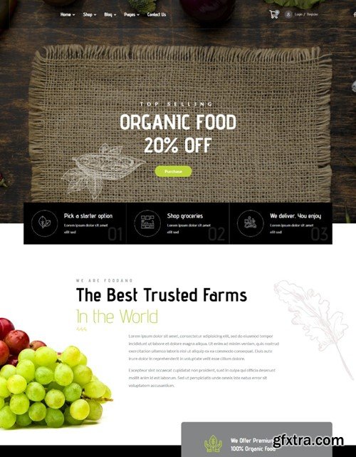 Foodano - Organic Food Shop Grocery HTML Template 7ZVLG76