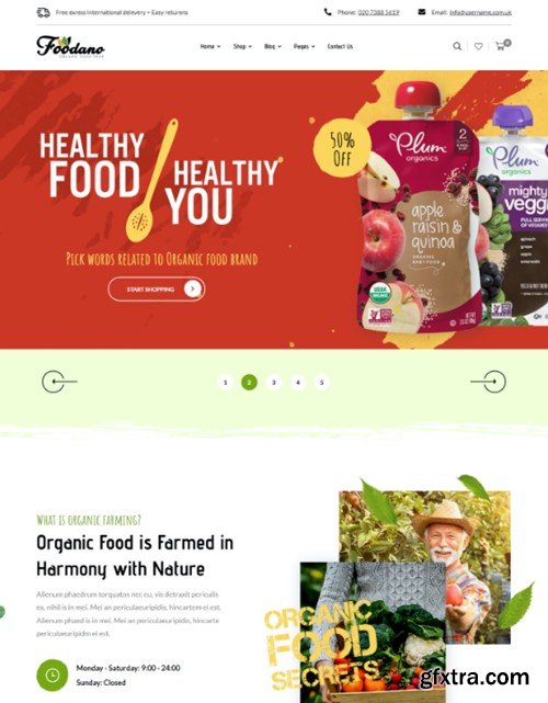 Foodano - Organic Food Shop Grocery HTML Template 7ZVLG76