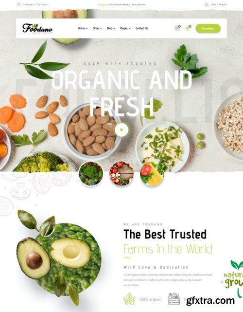 Foodano - Organic Food Shop Grocery HTML Template 7ZVLG76