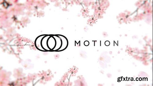 Videohive Sakura Blossom Logo Reveal 46902887