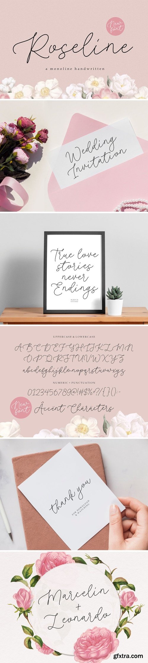 Roseline Script Font