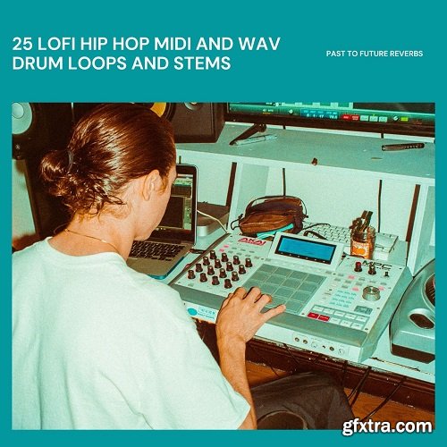 PastToFutureReverbs 25 LoFi Hip Hop MIDI and WAV Drum Loops and Stems