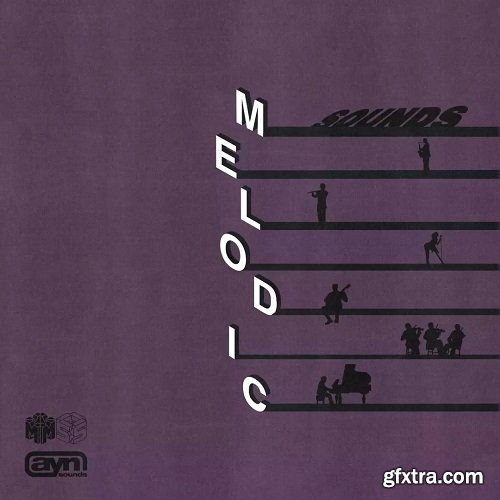 AYN Sounds Melodic Sounds Multi-Kit