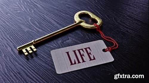 Videohive The Life 47013733