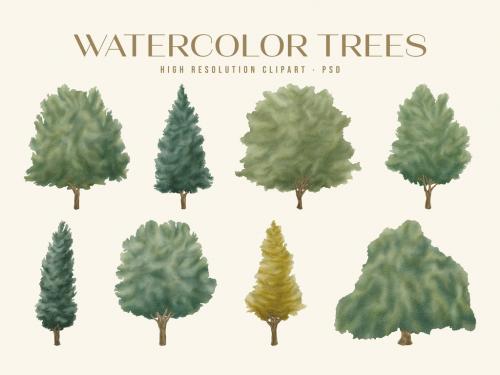 Watercolor Trees Illustration Set 586603646