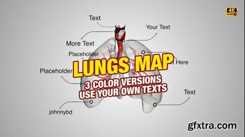 Videohive Lungs Map 4K 31532621