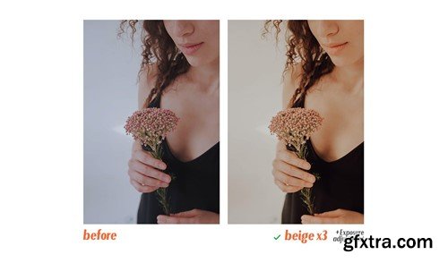 Beige - Actions and Presets 6DGAGP5