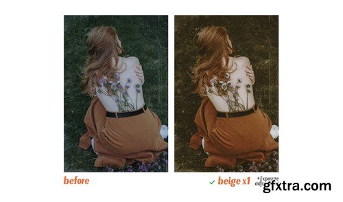 Beige - Actions and Presets 6DGAGP5