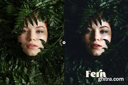 Fern Portrait Action and LUT MTJJT76