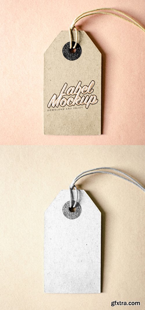 Vintage Cardboard Label - PSD Mockup Template