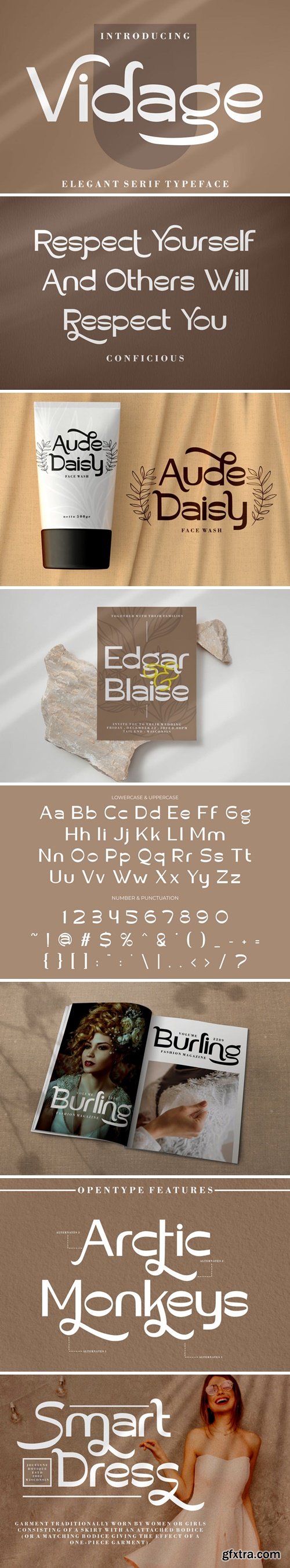 Vidage - Elegant Serif Typeface Font