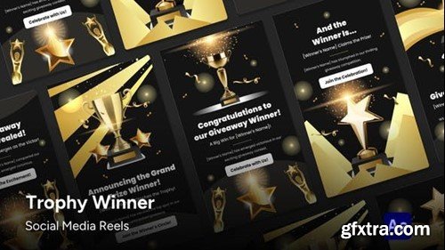 Videohive Social Media Reels - Winner Trophy After Effects Template 47146295