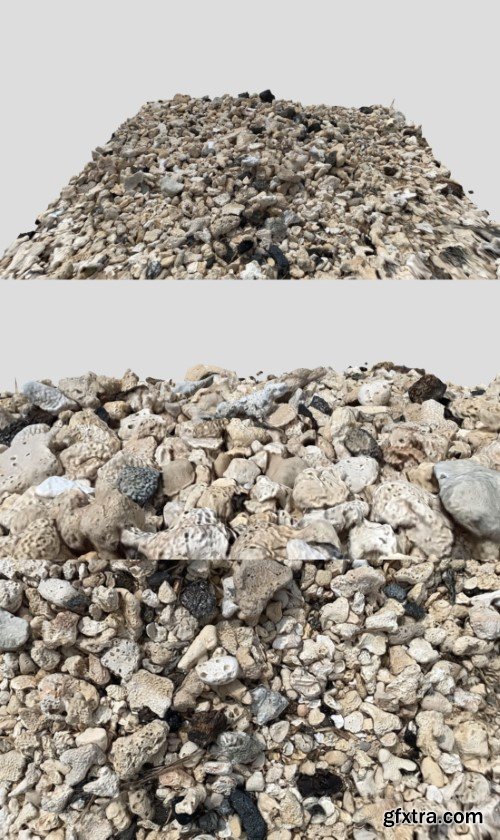 Various Hawaiian Beach Rocks 3D Model