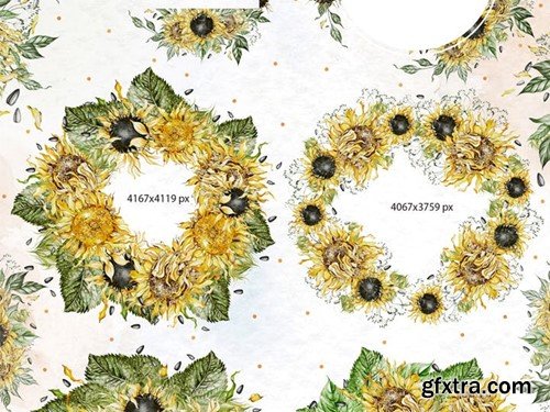 Watercolor Sunflowers Y2H3A5C