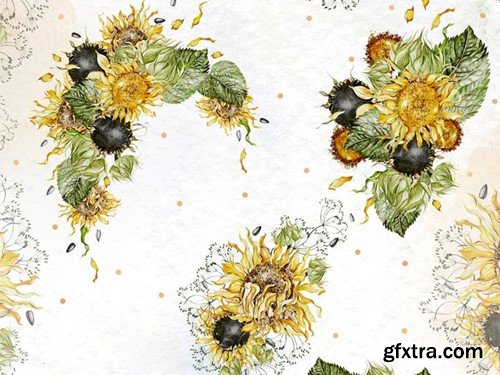 Watercolor Sunflowers Y2H3A5C