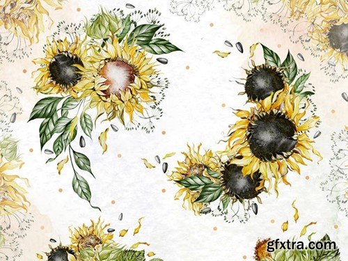 Watercolor Sunflowers Y2H3A5C