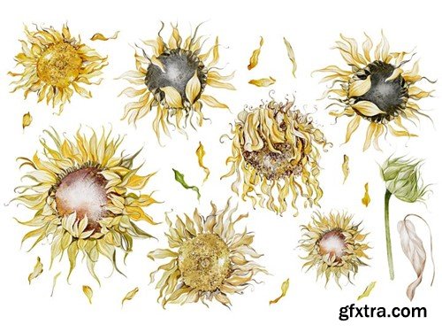 Watercolor Sunflowers Y2H3A5C