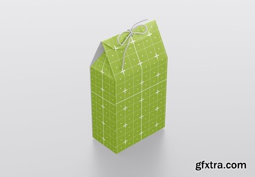 Paper Gift Bag Mockup LNLFPGL