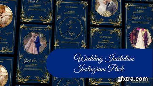 Videohive Wedding Invitation Instagram Story and Reel II 47200802