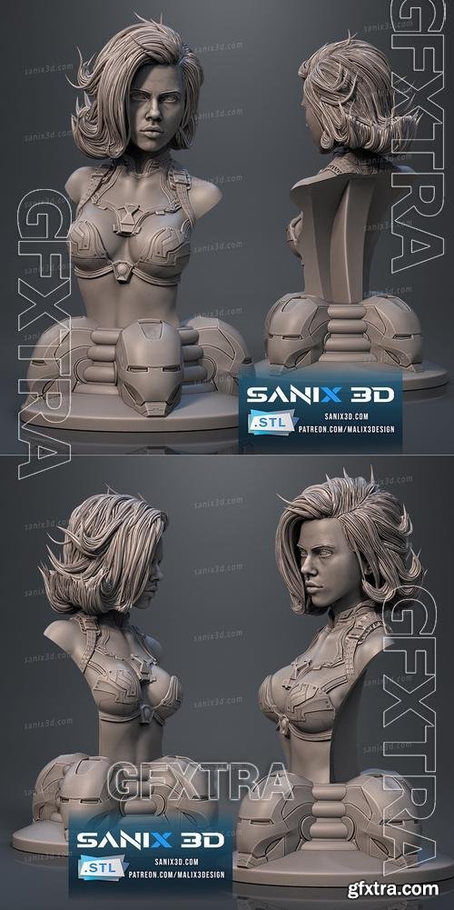 Sanix - Iron Widow bust &ndash; 3D Print Model
