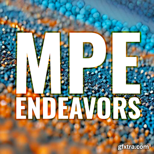 BLEASS MPE Endeavors SampleWiz 2 Preset Pack