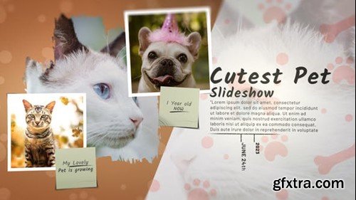Videohive Cutest Pet Slideshow 47239191