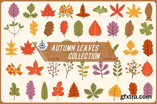 Autumn Leaves Vector Elements. Fall Clipart Set TNY87P3