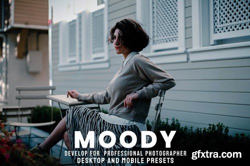 Moody - Desktop and Mobile Presets 9ZUFNBG