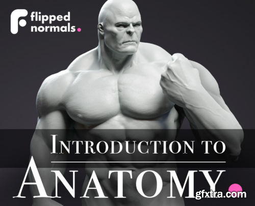 FlippedNormals - Introduction to Anatomy