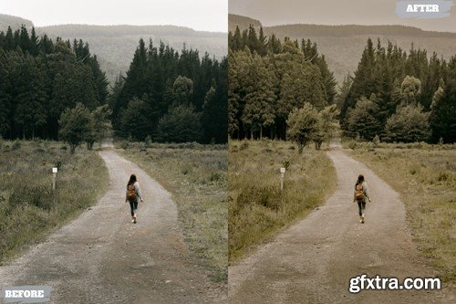 Rustic Gold Lightroom Presets Dekstop and Mobile TZKMLN6