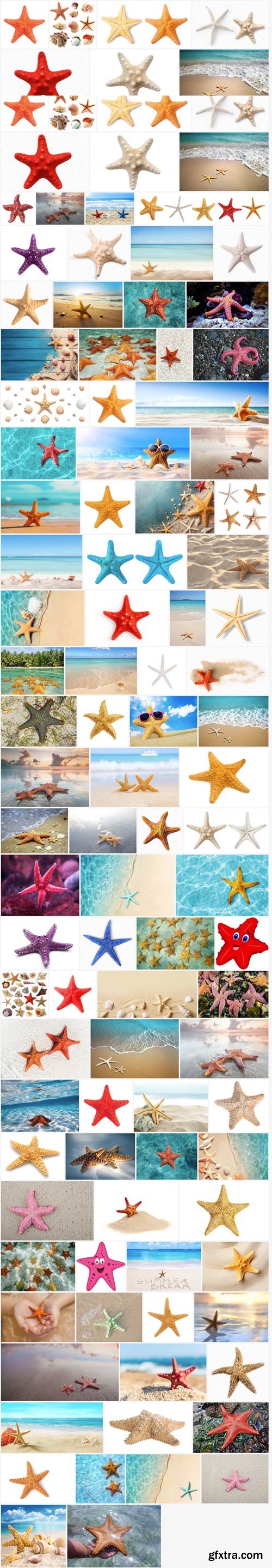 Starfish