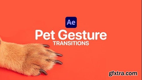 Videohive Pet Gesture Transitions for After Effects 47367361