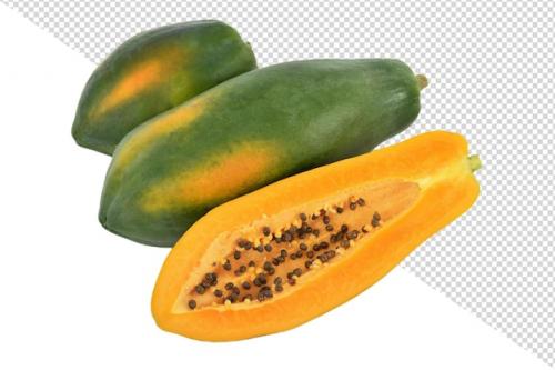 Premium PSD | Papaya png Premium PSD