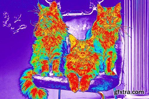 Thermal Heatmap Photo Effect L2QR568