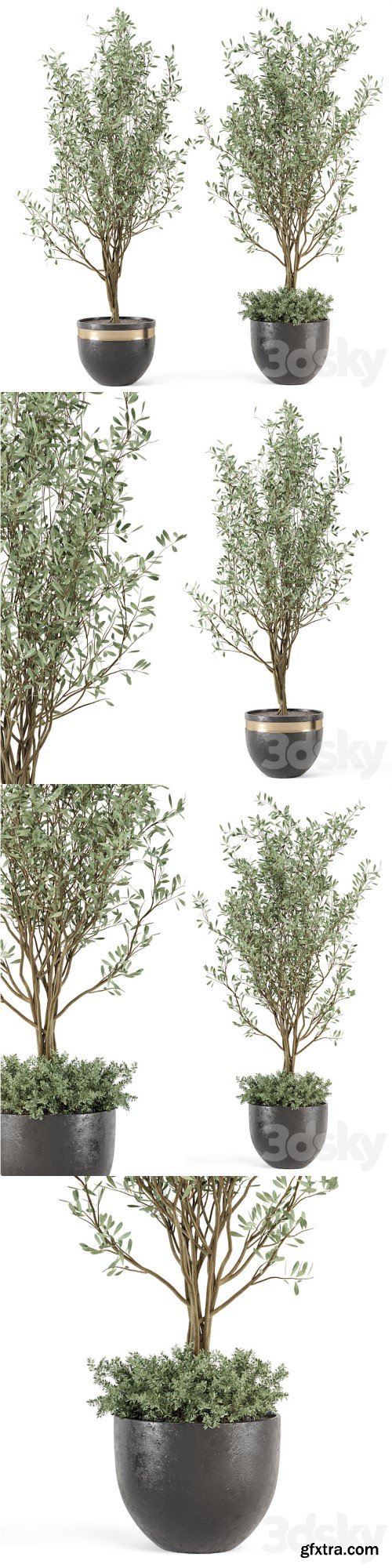 Outdoor bush and Tree in rusty Concrete Pot - Set 204