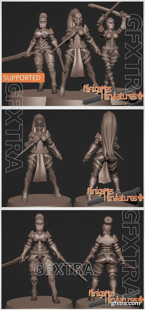 Minigames Miniatures - Assasins Anime Figurines May 2023 &ndash; 3D Print Model