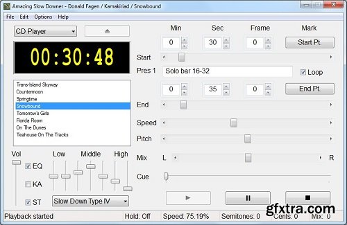 Roni Music Amazing Slow Downer v3.7.2