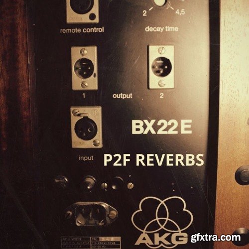 PastToFutureReverbs AKG BX22E Spring Reverb