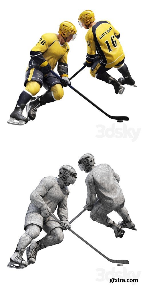 Hockey player. Position 1