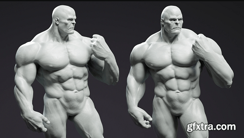 FlippedNormals - Introduction to Anatomy