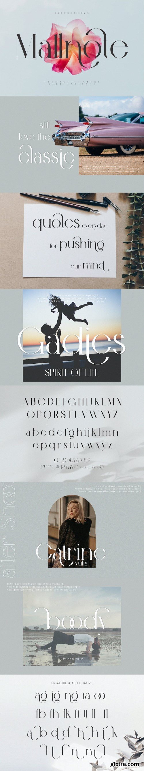 Mallnote Elegant Ligature Serif Typeface