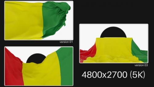 Videohive - Pack Of Guinea Flag On Alpha - 47467069 - 47467069