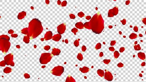 Videohive - Flying Rose Petals Alpha Loop V4 - 47512474 - 47512474