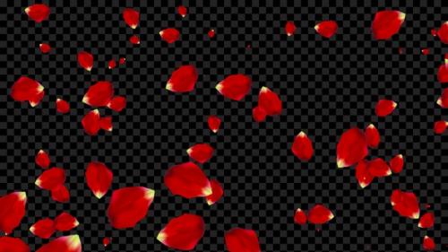 Videohive - Flying Rose Petals Alpha Loop V6 - 47538637 - 47538637