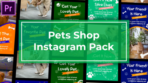 Videohive - Pets Shop Instagram Reels | MOGRT - 47498729 - 47498729