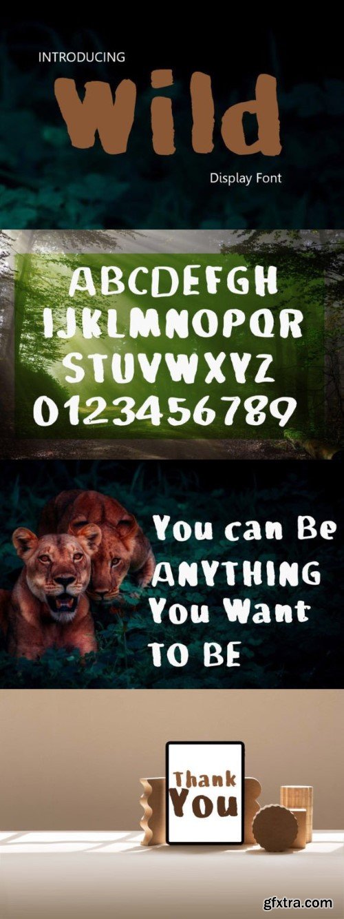 Wild Font