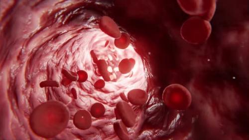 Videohive - 3D animation of a healthy blood flowing through artery - 46847205 - 46847205