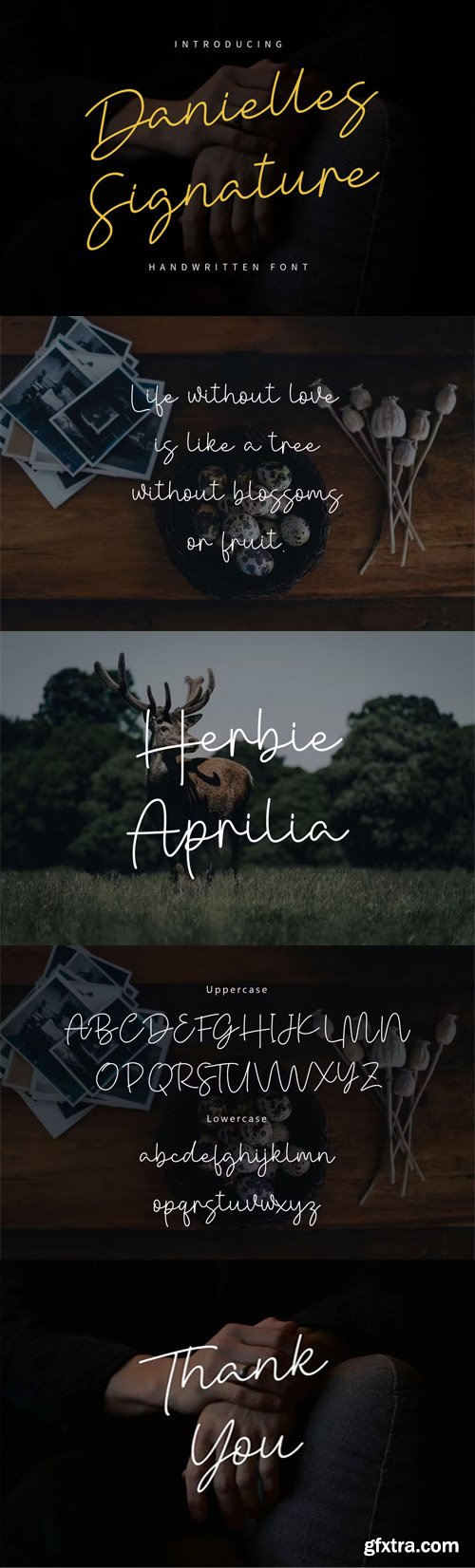 Danielle Signature Font